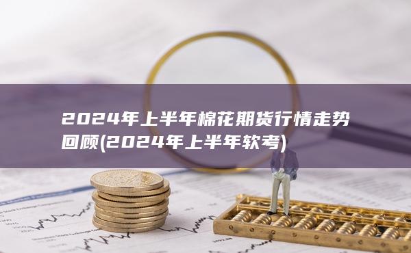 2024年上半年软考