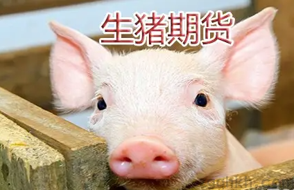 一手生猪期货要多少钱？生猪期货开户要钱吗？